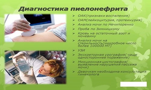 Диагностика пиелонефрита Диагностика пиелонефрита
