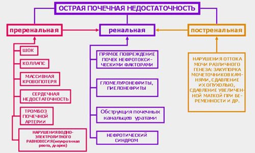 Классификация острой почечной недостаточности